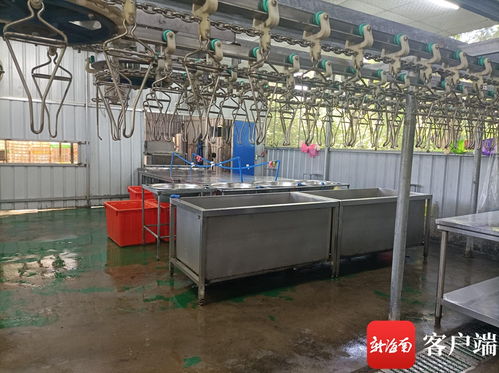 文昌推進(jìn)農(nóng)產(chǎn)品倉(cāng)儲(chǔ)保鮮冷鏈設(shè)施建設(shè) 農(nóng)村合作社一年增效90萬